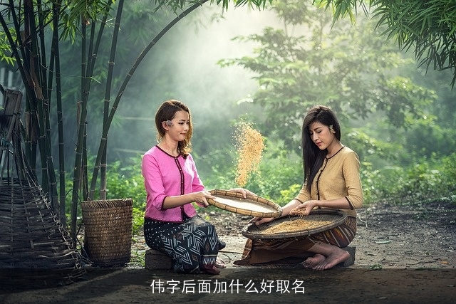伟字后面加什么好取名