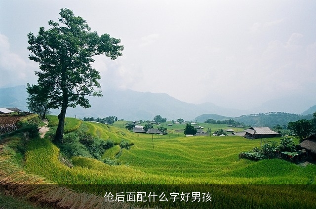 伧后面配什么字好男孩