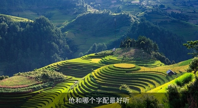 伧和哪个字配最好听