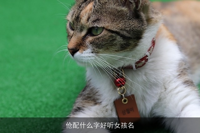 伧配什么字好听女孩名