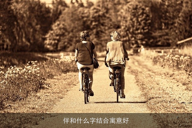 伴和什么字结合寓意好