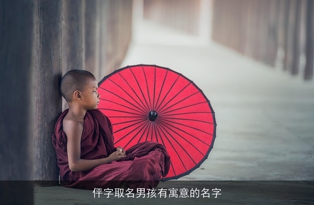 伻字取名男孩有寓意的名字