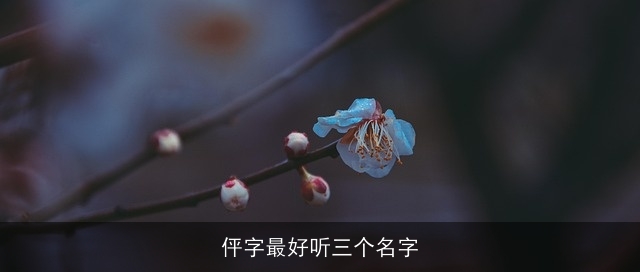 伻字最好听三个名字