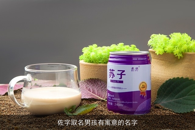 佐字取名男孩有寓意的名字