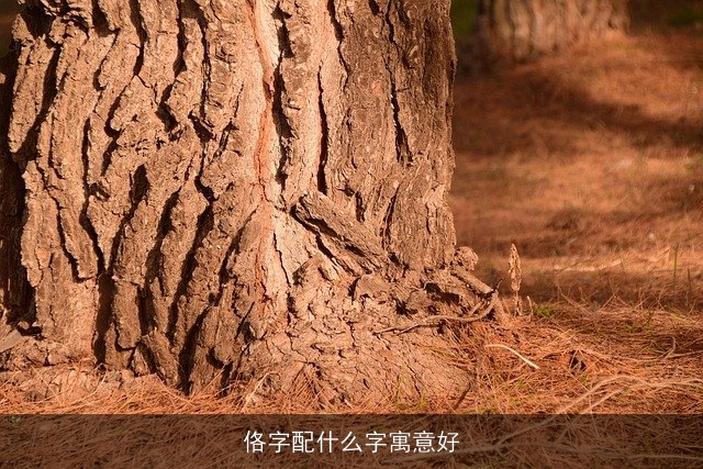 佫字配什么字寓意好