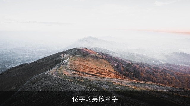佬字的男孩名字
