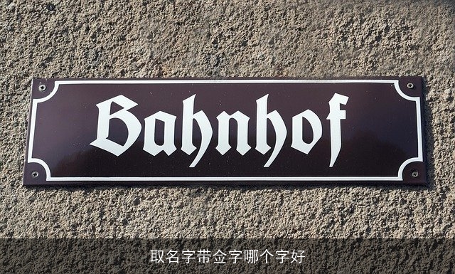 取名字带佥字哪个字好