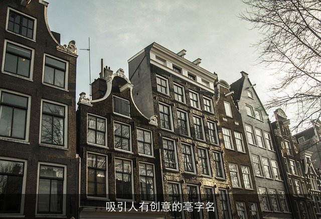 吸引人有创意的亳字名