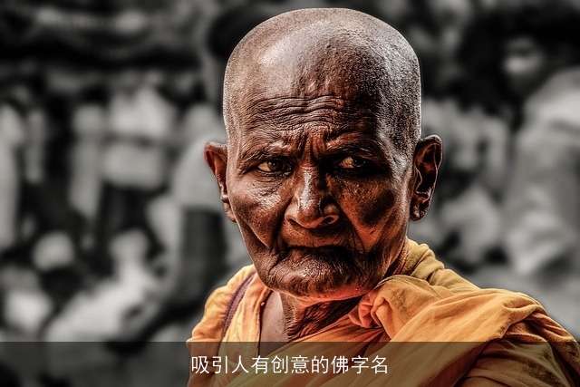 吸引人有创意的佛字名