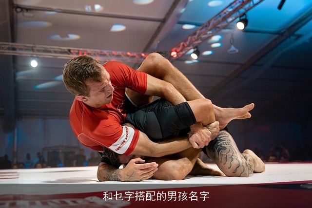 和乜字搭配的男孩名字