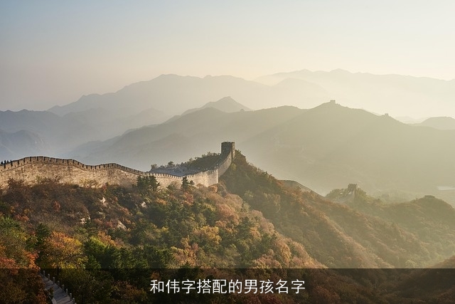 和伟字搭配的男孩名字