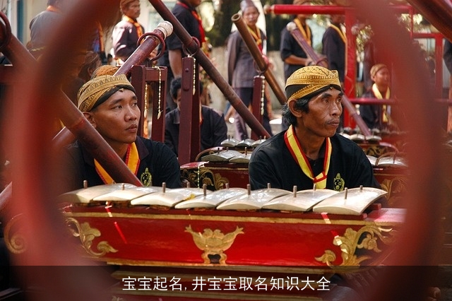 宝宝起名,井宝宝取名知识大全