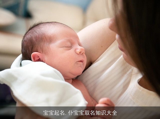 宝宝起名,仆宝宝取名知识大全