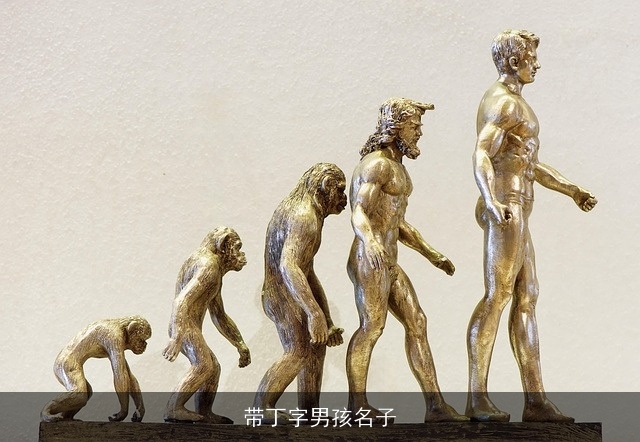 带丁字男孩名子