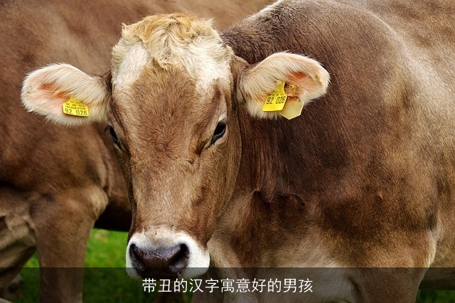 带丑的汉字寓意好的男孩