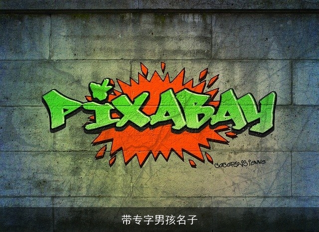 带专字男孩名子