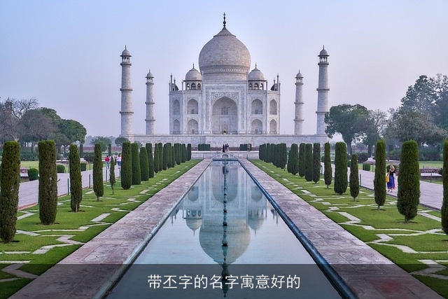 带丕字的名字寓意好的