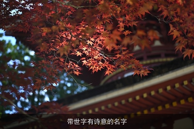 带世字有诗意的名字
