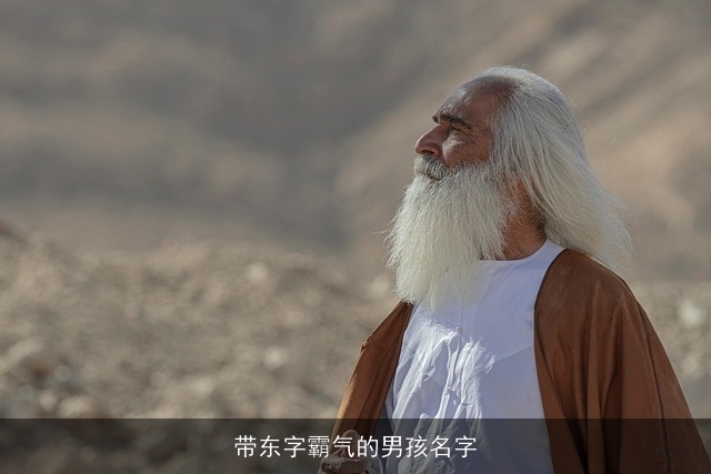 带东字霸气的男孩名字
