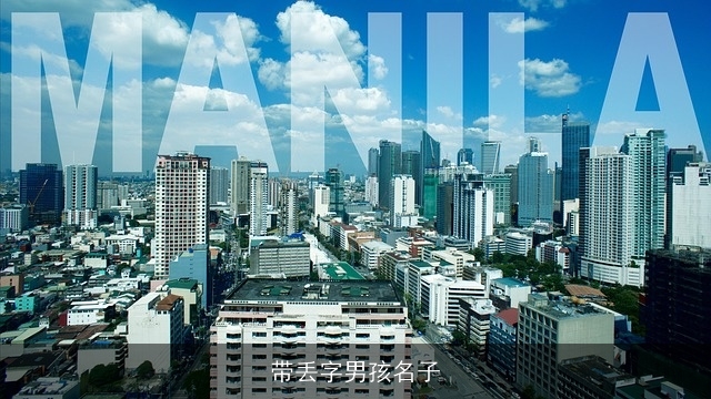 带丢字男孩名子