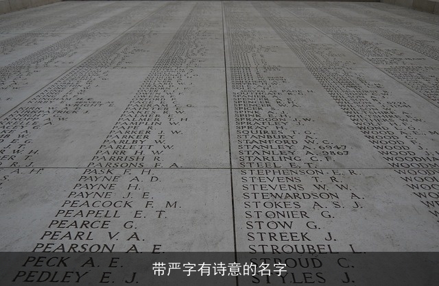 带严字有诗意的名字