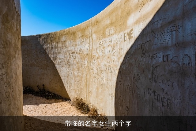 带临的名字女生两个字