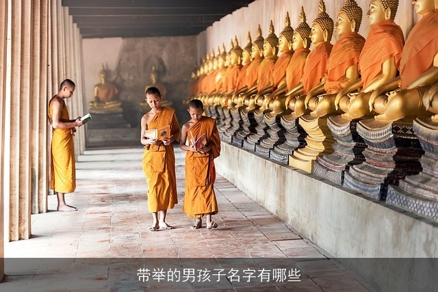 带举的男孩子名字有哪些