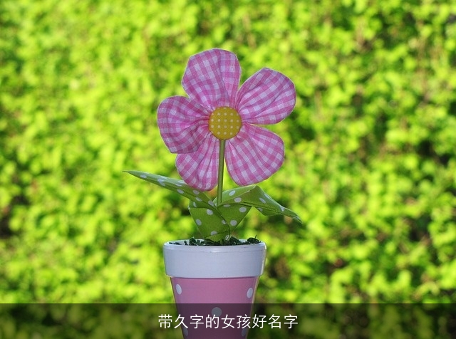 带久字的女孩好名字