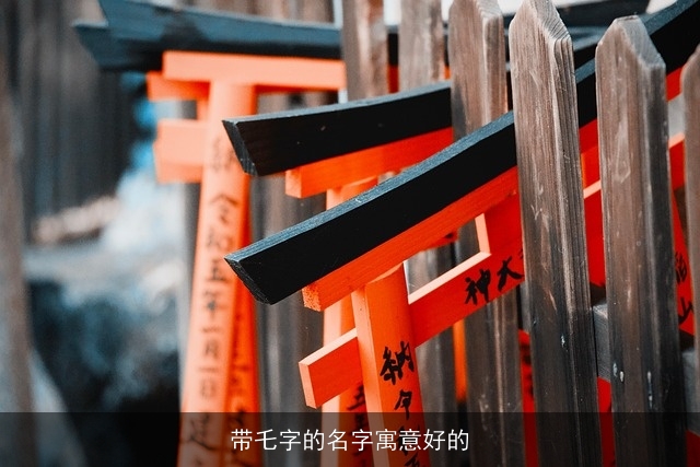 带乇字的名字寓意好的