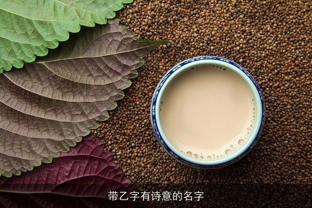 带乙字有诗意的名字