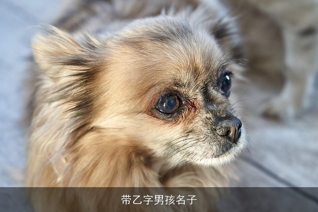 带乙字男孩名子