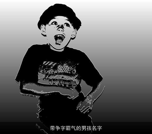 带争字霸气的男孩名字