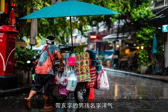带亥字的男孩名字洋气