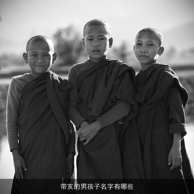 带亥的男孩子名字有哪些