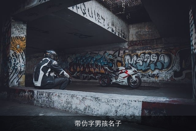 带仂字男孩名子