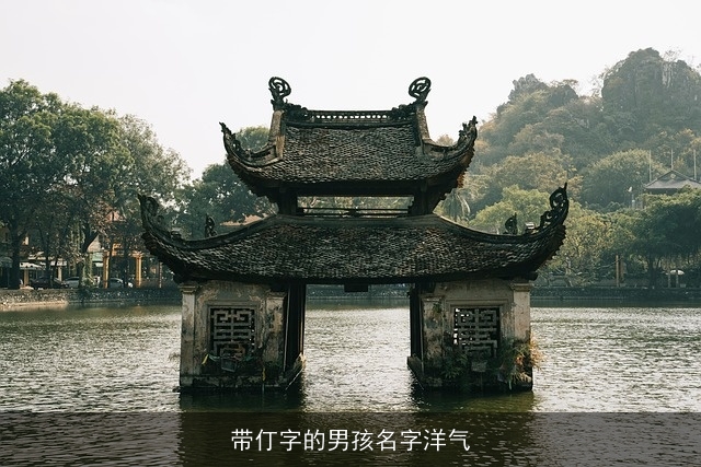 带仃字的男孩名字洋气