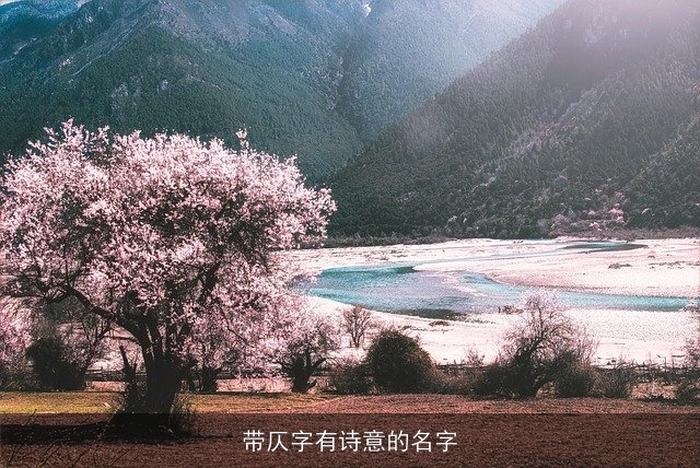 带仄字有诗意的名字