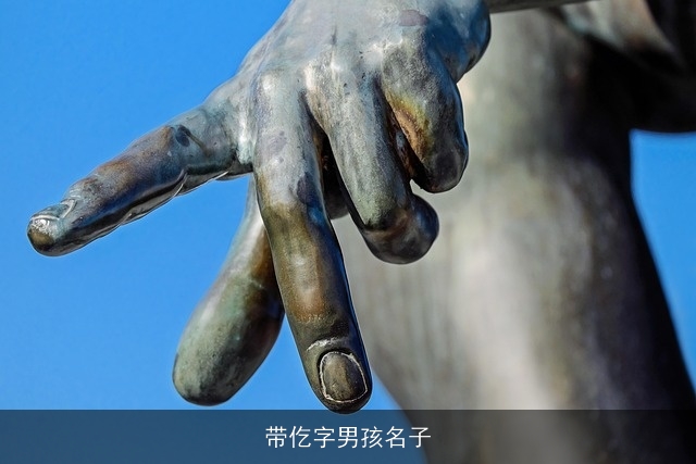 带仡字男孩名子