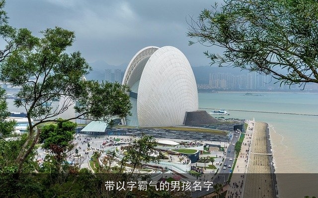 带以字霸气的男孩名字