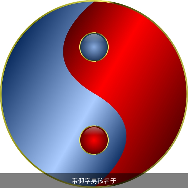 带仰字男孩名子
