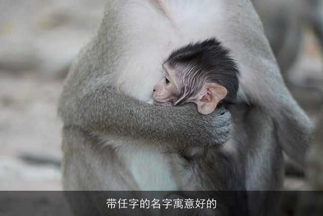 带任字的名字寓意好的