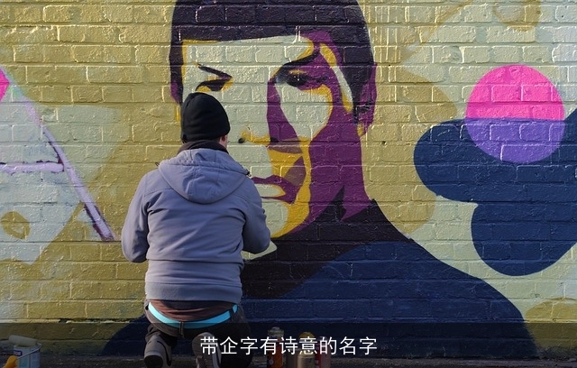 带企字有诗意的名字