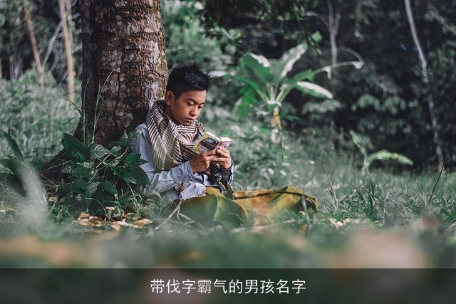 带伐字霸气的男孩名字