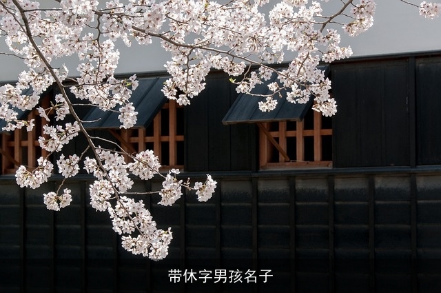 带休字男孩名子