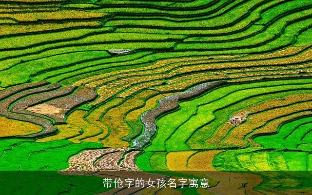 带伧字的女孩名字寓意
