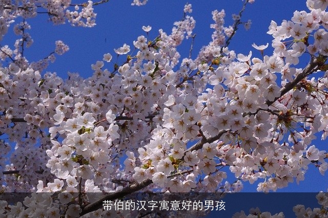 带伯的汉字寓意好的男孩