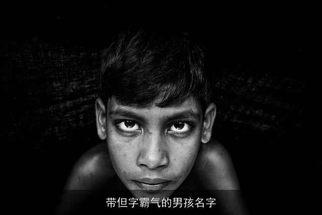 带但字霸气的男孩名字