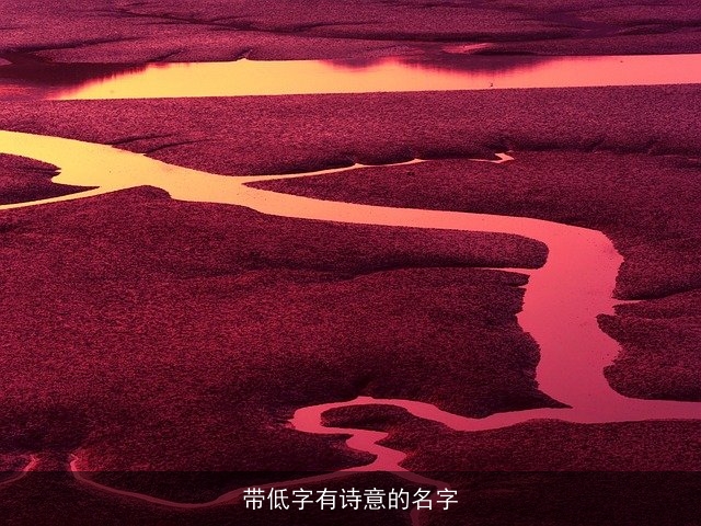 带低字有诗意的名字
