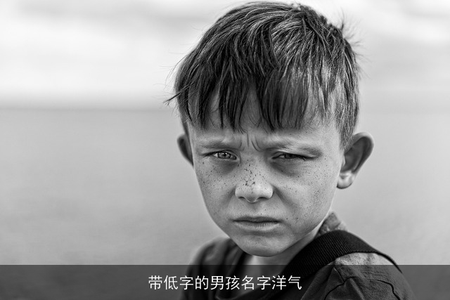 带低字的男孩名字洋气