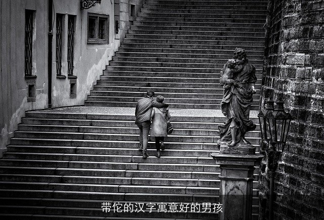 带佗的汉字寓意好的男孩
